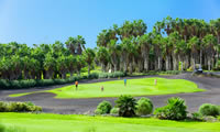 golf del sur